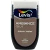 Testeur Peinture Levis Ambiance Mur Chocolat Mat 30ml - Chocolat